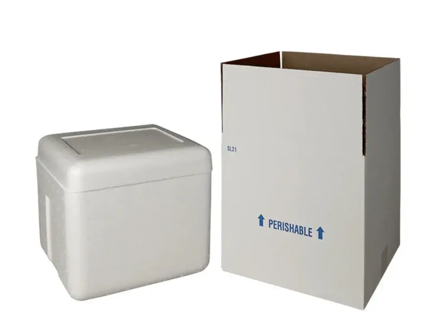 Insulated Shipping Box & Foam Cooler