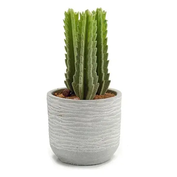 Artesanal de Calidad Cactus Plástico Cactus (10 x 20 x 10 cm)