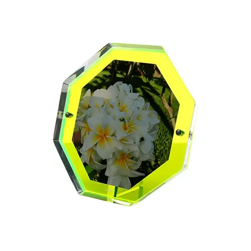 Bolt Snap Frame Menta