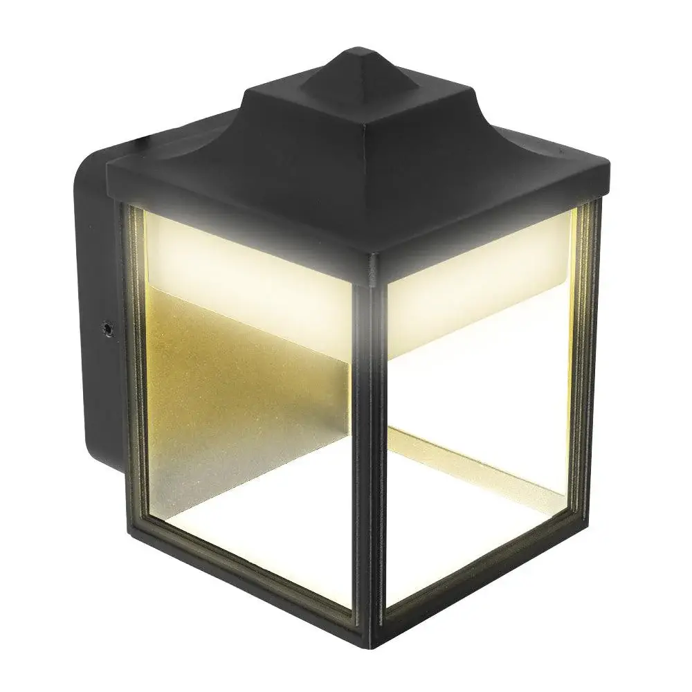 Farol oxalis
