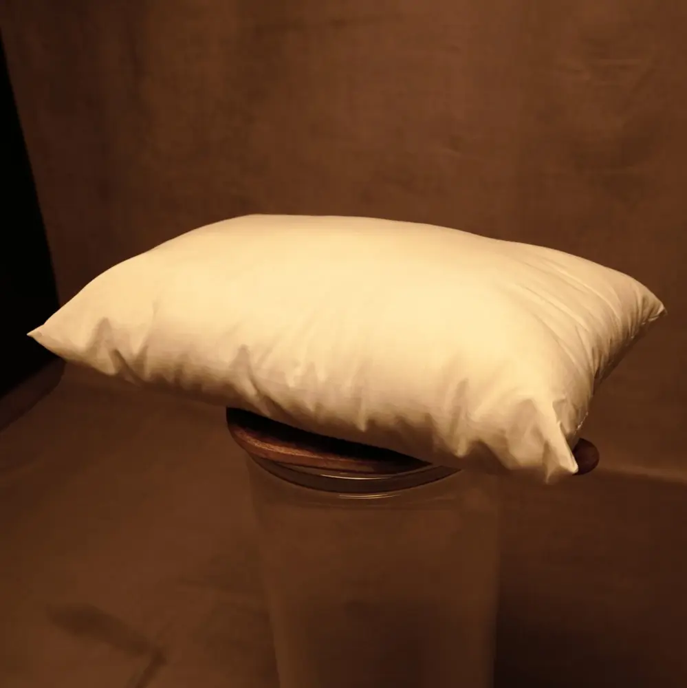 Relleno de cojín estable de 50x30cm