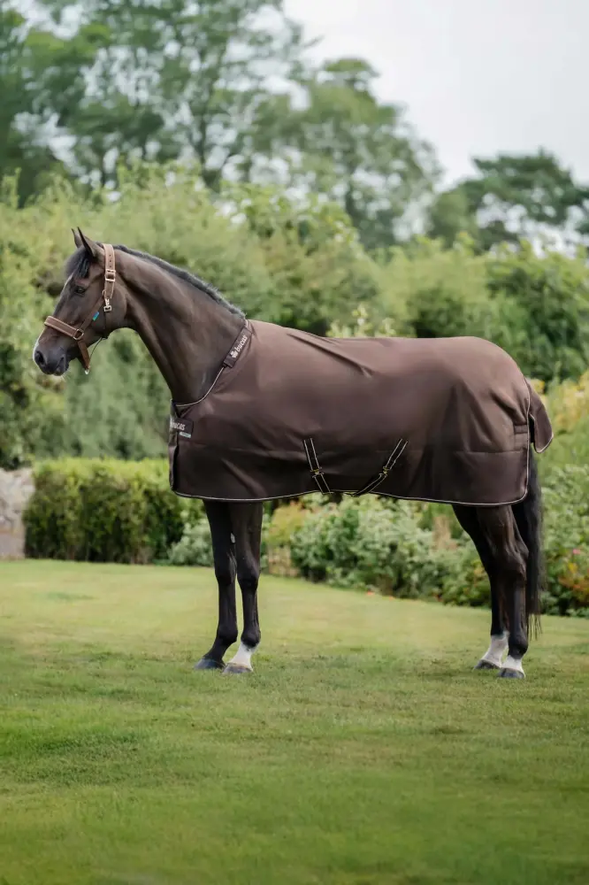 Irish Turnout 150 g Rug & Neck Set Espresso 145