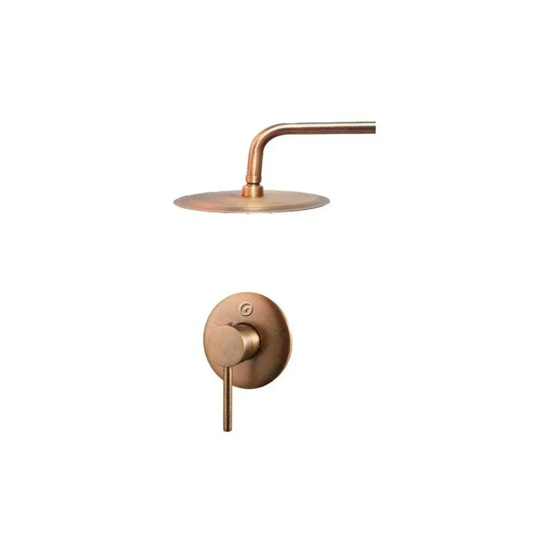 Mezclador Ducha Monocontrol Con Ducha De 20cm Bronce Antiguo Bronce