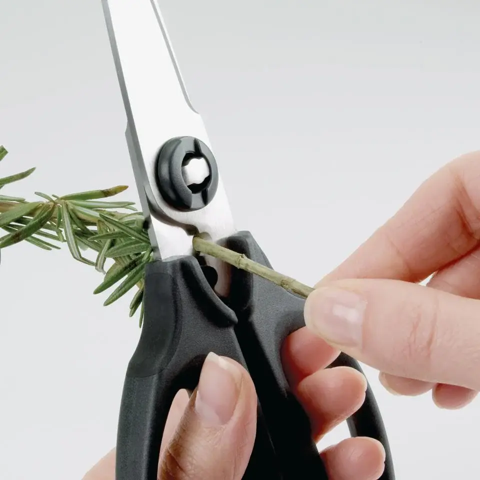 Premium de Alta Gama Tijeras de cocina multiusos con talla para hierbas OXO