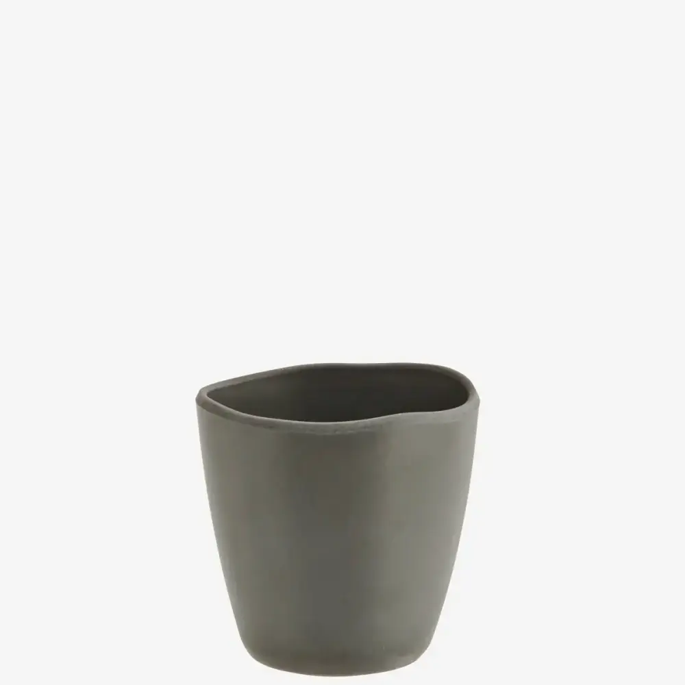 Eco Cup